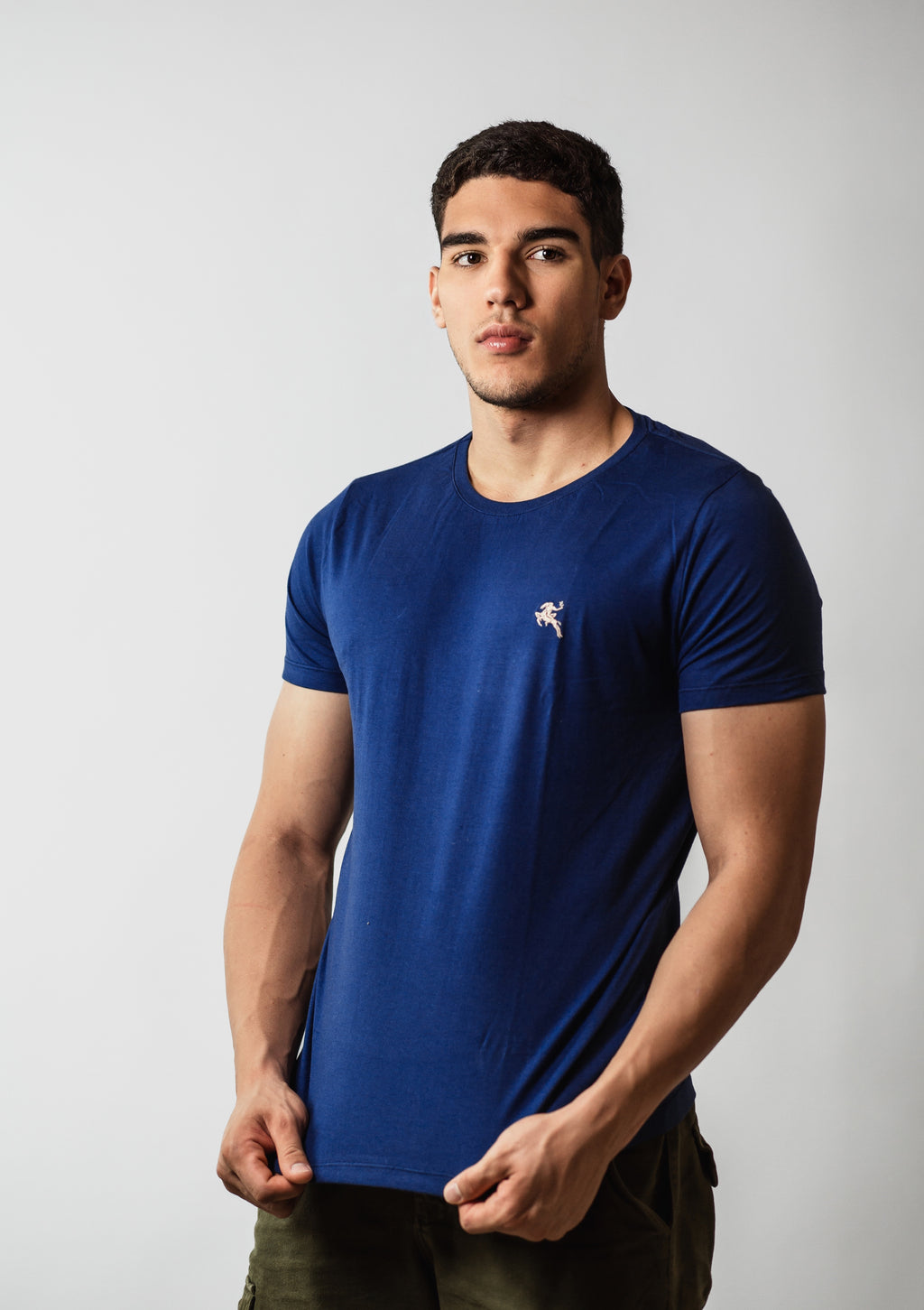 CAMISETA CLÁSSICA 100% ALGODÃO